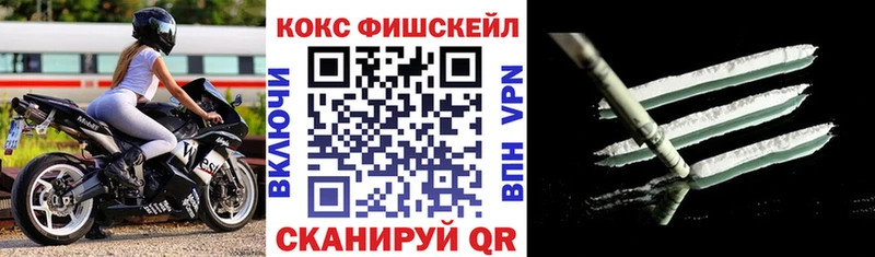 Кокаин Fish Scale  Кирово-Чепецк 