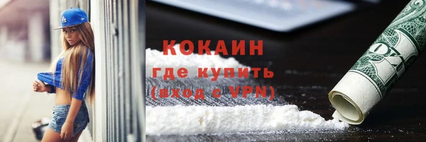 индика Волоколамск