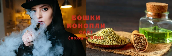 индика Волоколамск