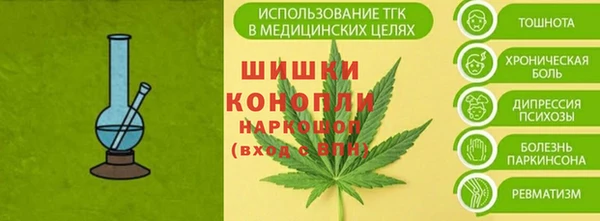 индика Волоколамск