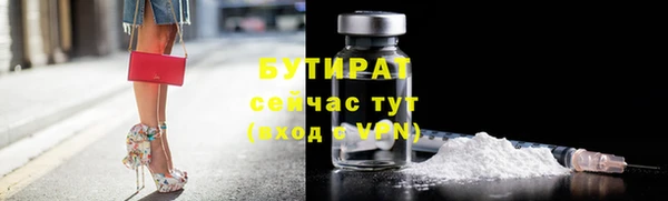 индика Волоколамск