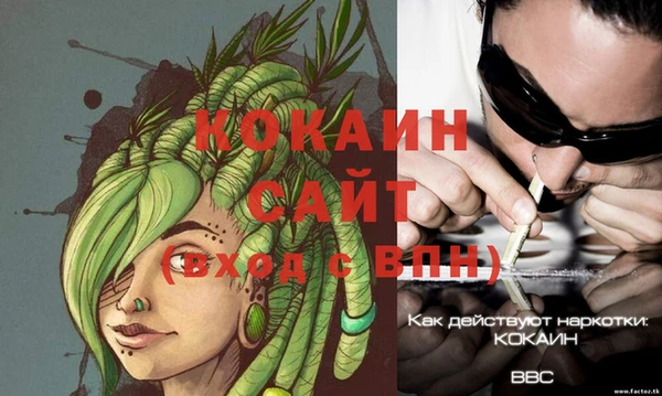 индика Волоколамск