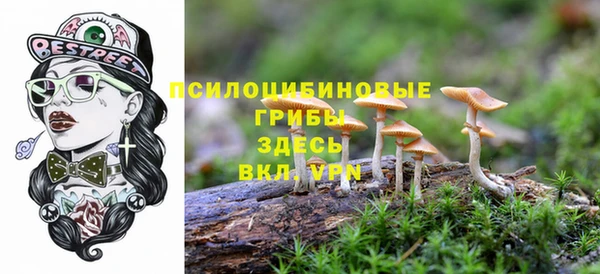 индика Волоколамск