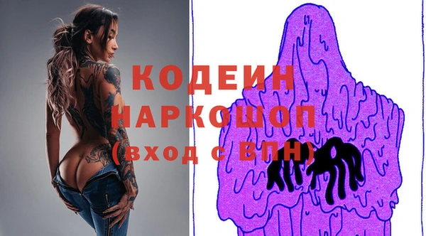 шишки Верея
