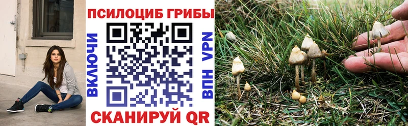 Галлюциногенные грибы GOLDEN TEACHER Кирово-Чепецк